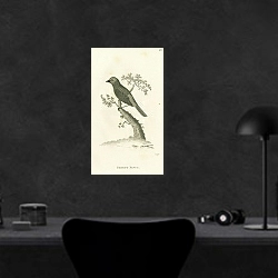 «Parrot Finch» в интерьере кабинета в черном цвете