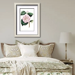 «Gray’s Invincible Camellia» в интерьере спальни в стиле прованс над кроватью