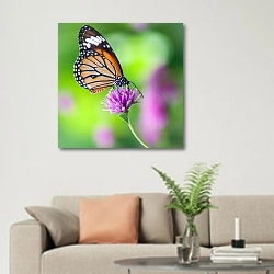 «Бабочка монарх на цветке клевера в поле» в интерьере современной светлой гостиной над диваном