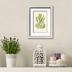 «Tea-leaved Willow, Small Tree w., Green Whortle-Leaved w.» в интерьере в стиле прованс с лавандой и свечами