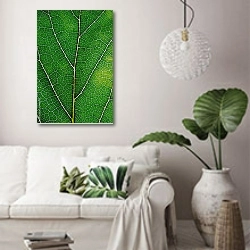«Зеленый лист с белыми прожилками крупным планом» в интерьере светлой гостиной в скандинавском стиле над диваном