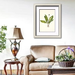 «Queencup. Clintonia uniflora» в интерьере гостиной в стиле прованс