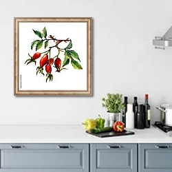 «Веточка собачьей ягоды с 5 ягодами» в интерьере кухни в голубых тонах