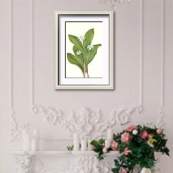 «Кубок королевы. Клинтония одноцветковая» в интерьере в стиле прованс над камином с лепниной