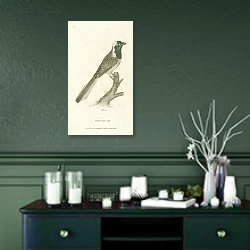 «Peruvian Jay» в интерьере зеленой комнаты