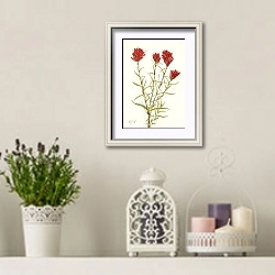 «Кисть ланцетная. Кастилия ланцетолистная» в интерьере в стиле прованс с лавандой и свечами