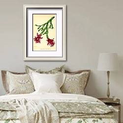 «Epiphyllum Russellianum» в интерьере спальни в стиле прованс над кроватью