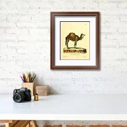 «Одногорбый верблюд» в интерьере современного кабинета над столом