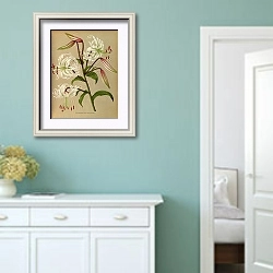 «Альбом Lilium Speciosum» в интерьере коридора в стиле прованс в пастельных тонах