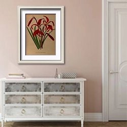 «Спрекелия Формозиссима» в интерьере коридора в стиле прованс в теплых тонах