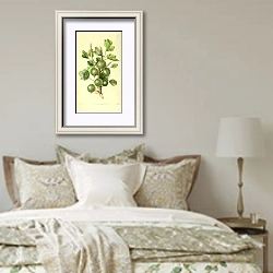 «Ранний зеленый волосатый крыжовник» в интерьере спальни в стиле прованс над кроватью
