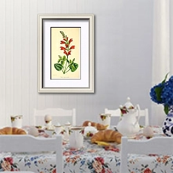 «Salvia Oppositiflora» в интерьере столовой в стиле прованс над столом