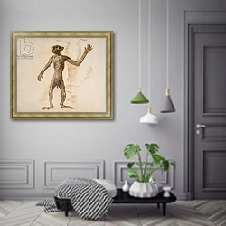 «Monkey Standing, Anterior View» в интерьере коридора в классическом стиле