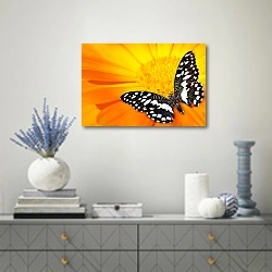 «Бабочка на оранжевом цветке» в интерьере современной гостиной с голубыми деталями