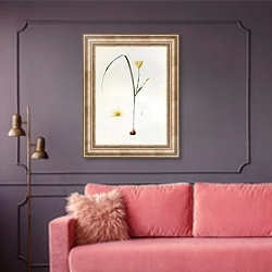 «Sisyrinchium collinum» в интерьере гостиной с розовым диваном