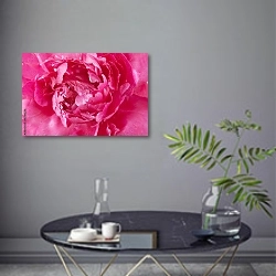 «Ярко-розовый пион макро» в интерьере современной гостиной в серых тонах