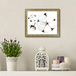 «Белые цветы хлопка» в интерьере в стиле прованс с лавандой и свечами