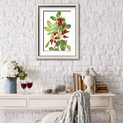 «Роза Буржуа. Роза бургуазиана» в интерьере в стиле прованс над столиком