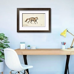 «Американская помесь лисицы» в интерьере кабинета в современном стиле