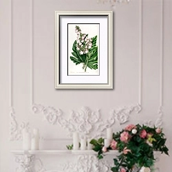 «Parsnip-leaved Begonia» в интерьере в стиле прованс над камином с лепниной