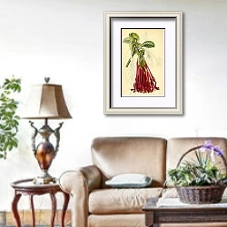 «Fuchsia Corymbiflora» в интерьере гостиной в стиле прованс
