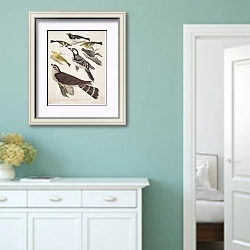 «Птицы Америки Уилсона 15» в интерьере коридора в стиле прованс в пастельных тонах