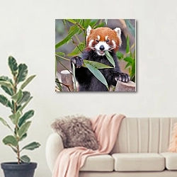 «Рыжая панда» в интерьере современной светлой гостиной над диваном