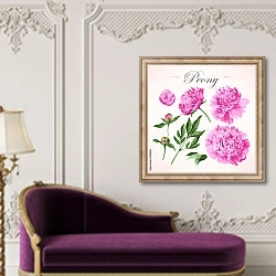 «Цветы и бутоны розовых пионов» в интерьере в классическом стиле над банкеткой