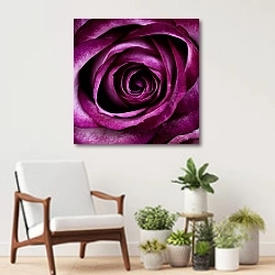 «Пурпурная роза крупным планом» в интерьере современной комнаты над креслом