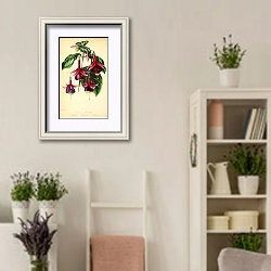 «Standish's Seedling Fuchsias» в интерьере комнаты в стиле прованс с цветами лаванды