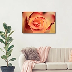 «Оранжевая роза крупным планом» в интерьере современной светлой гостиной над диваном