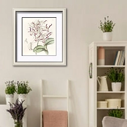 «Bull-headed Dendrobium» в интерьере комнаты в стиле прованс с цветами лаванды