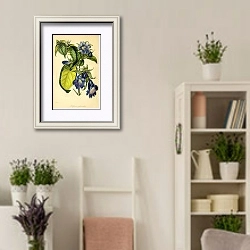 «Goldfussia Glomerata» в интерьере комнаты в стиле прованс с цветами лаванды