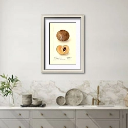 «Манилкара сапота» в интерьере кухни в серых тонах