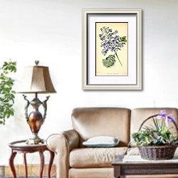 «Jacaranda Mimosifolia» в интерьере гостиной в стиле прованс