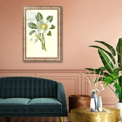 «Christmas Rose» в интерьере классической гостиной над диваном