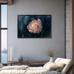 «Нежный тюльпан персикового цвета на темном фоне. Фото тюльпана крупным планом» в интерьере 