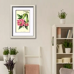 «Tacsonia Mollissima» в интерьере комнаты в стиле прованс с цветами лаванды