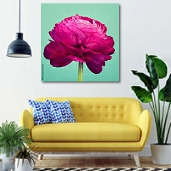 «Красивый ярко-розовый цветок крупным планом » в интерьере современной гостиной с желтым диваном