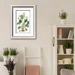 «Cylindrical Heuchera» в интерьере комнаты в стиле прованс с цветами лаванды