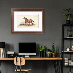 «The Koomrah Horse» в интерьере кабинета с серыми стенами