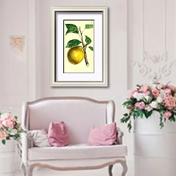 «Лимонный пепин» в интерьере гостиной в стиле прованс над диваном