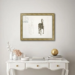 «Tab. VIII, from 'The Anatomy of the Horse...' 1766» в интерьере в классическом стиле над столом