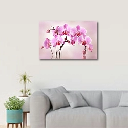 «Розовые орхидеи.» в интерьере светлой гостиной в скандинавском стиле