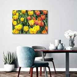 «Красные и желтые тюльпаны на поле» в интерьере современной кухни над обеденным столом