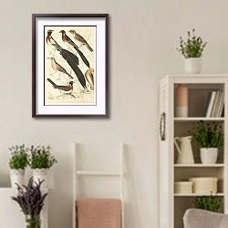 «Whidah Bunting» в интерьере комнаты в стиле прованс с цветами лаванды