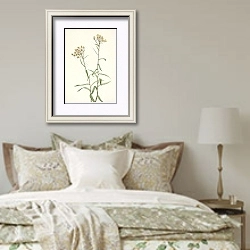 «Pearl Everlasting. Anaphalis margaritacea» в интерьере спальни в стиле прованс над кроватью