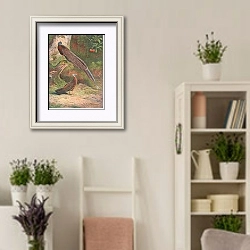 «Malay Argus Pheasant» в интерьере комнаты в стиле прованс с цветами лаванды