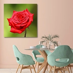 «Яркая красная роза на зеленом» в интерьере современной столовой в пастельных тонах