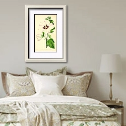 «Hibiscus Synacus variegatus» в интерьере спальни в стиле прованс над кроватью